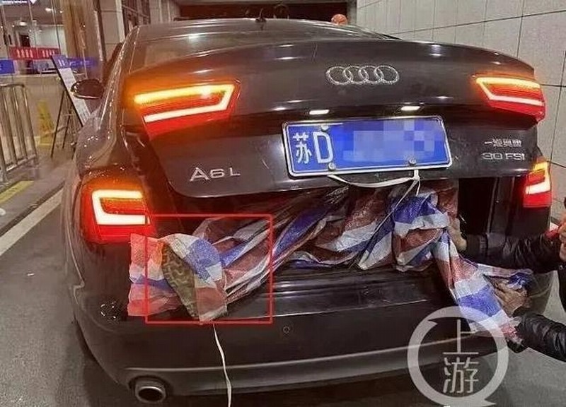 跨年夜里,王女士一家在奥迪A6L的后备箱见到了父亲的遗体。.jpeg 跨年夜里,王女士一家在奥迪A6L的后备箱见到了父亲的遗体。.jpeg