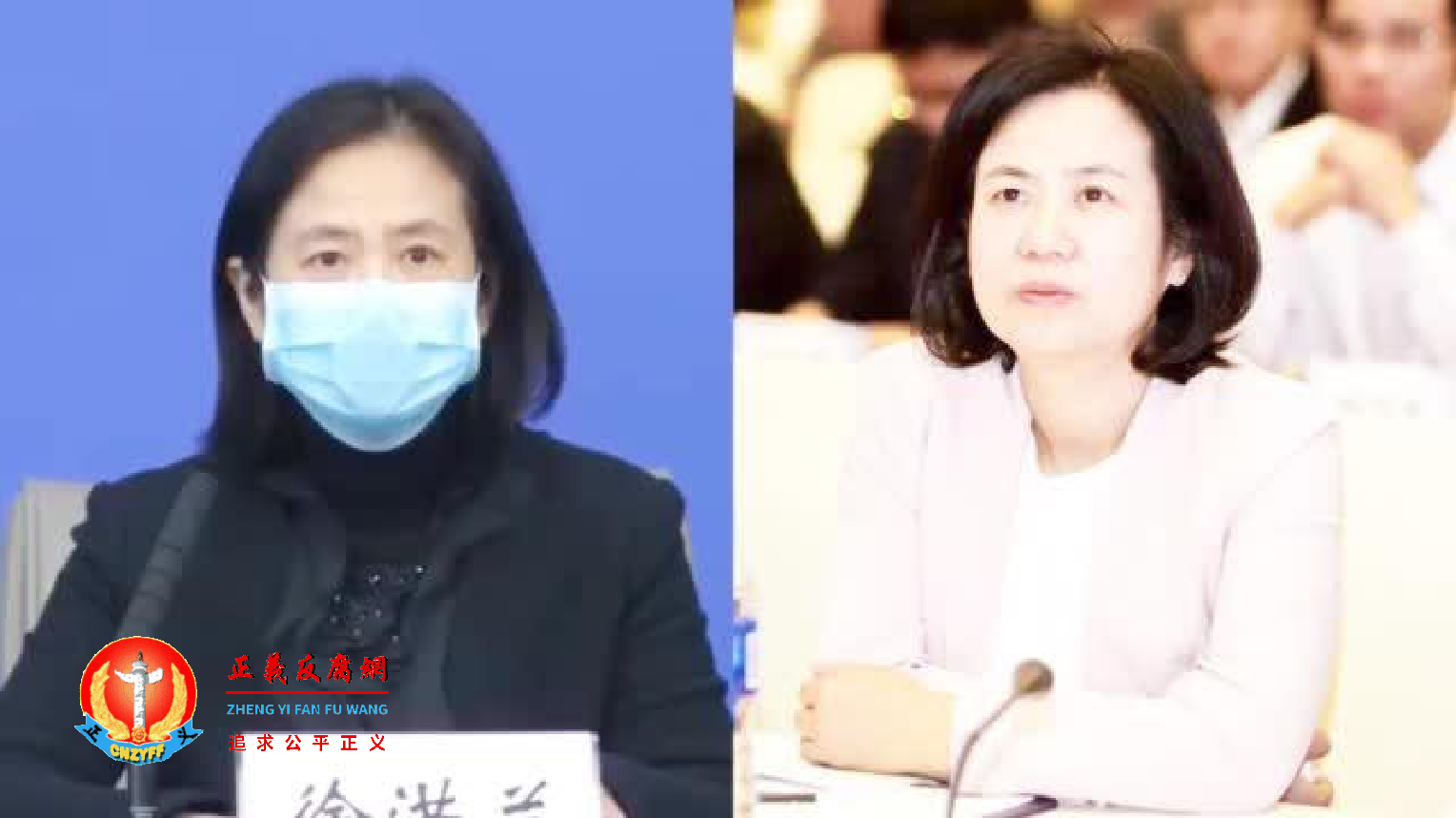 汉市政府原党组成员、女副市长徐洪兰.png 汉市政府原党组成员、女副市长徐洪兰.png